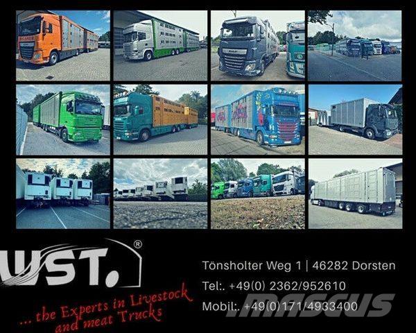 Eggers HTP Plane Remorque à rideaux coulissants (PLSC)