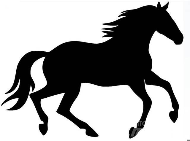  Dark Bay Stallion Construction - Autres