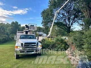 Ford F-750 Camion plateau ridelle avec grue