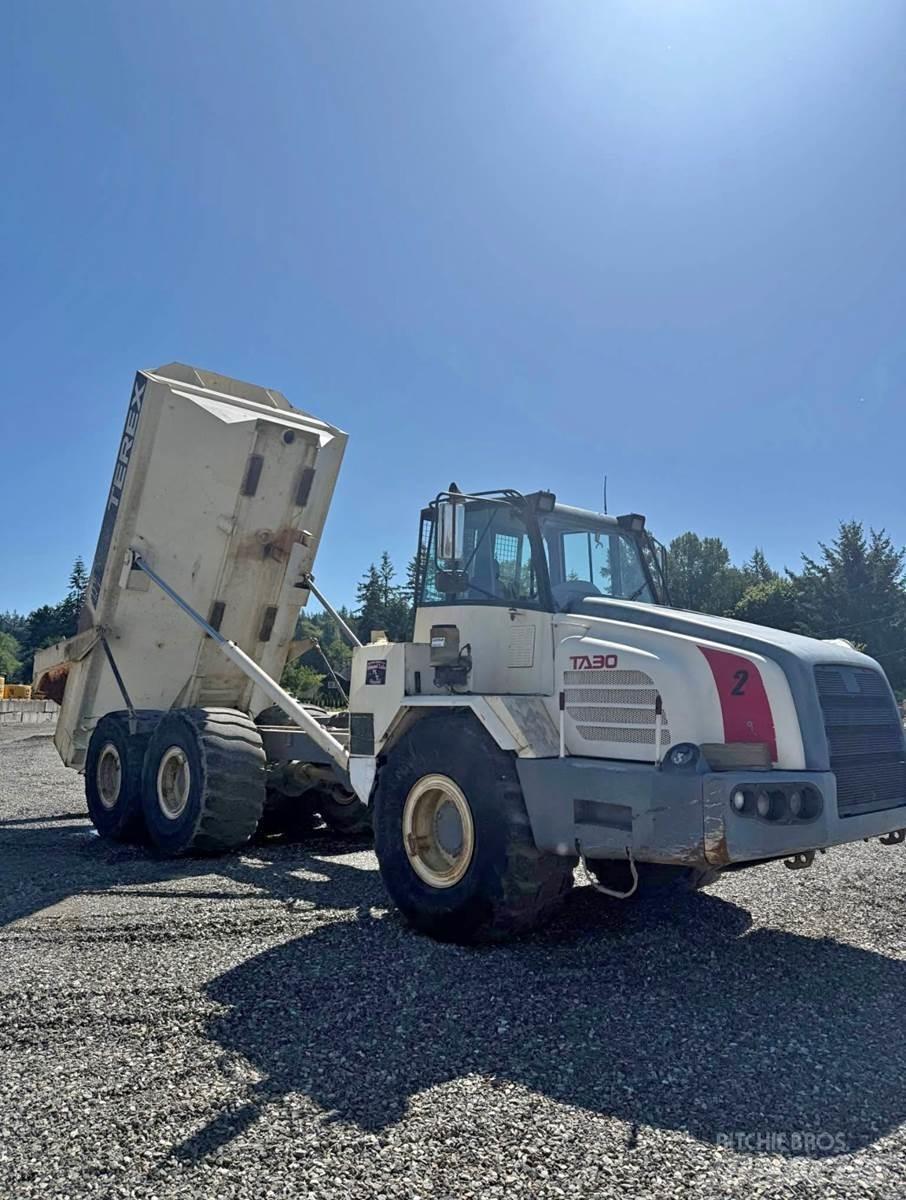 Terex TA30 Utilitaire