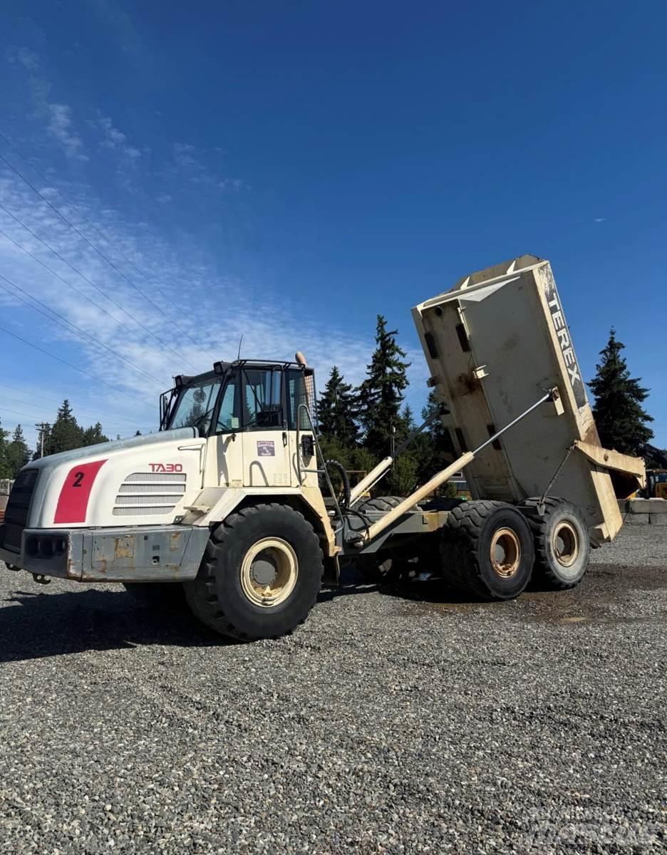 Terex TA30 Utilitaire