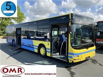 MAN A 21 Lion´s City/ A 20/ O 530 Citaro