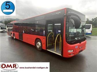 MAN A 26 Lion´s City / O 530 Citaro L /