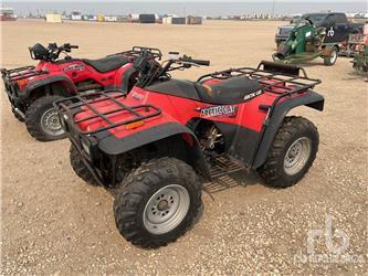 Arctic Cat 300