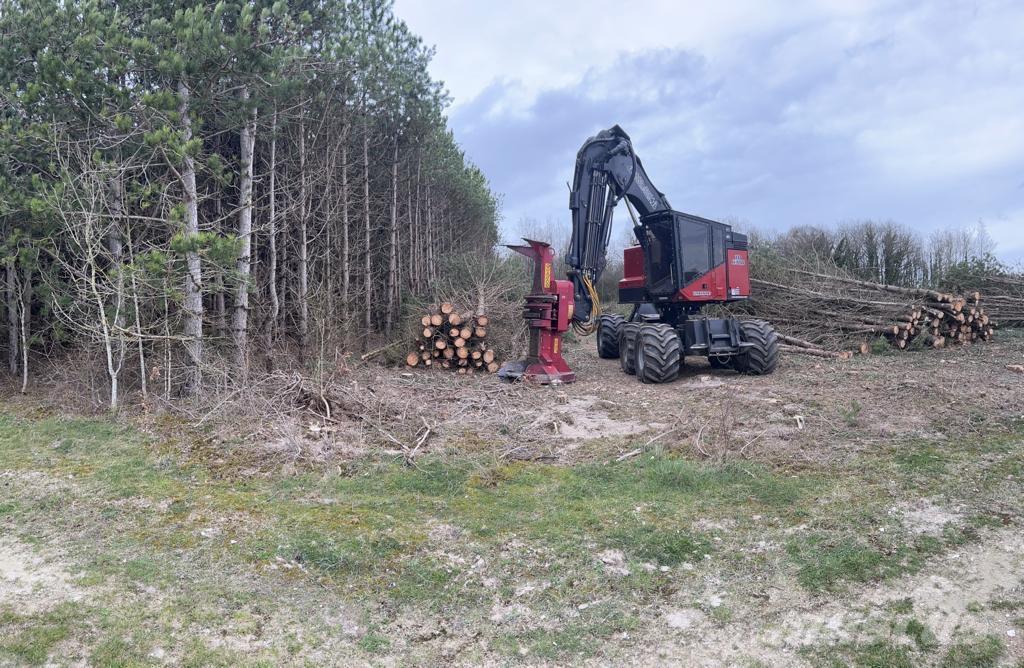 TimberPro TB630D Abatteuse groupeuse