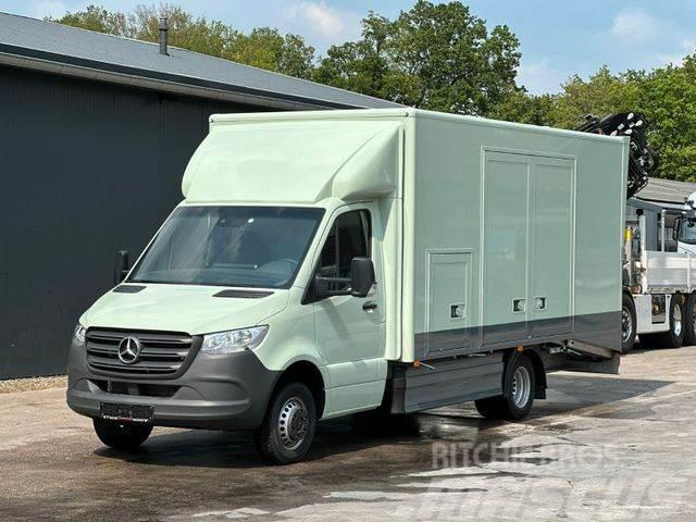 Mercedes-Benz Sprinter 519 CDI CAZOO Sportwagentransporter Camion porte engin