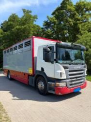 Scania P 230