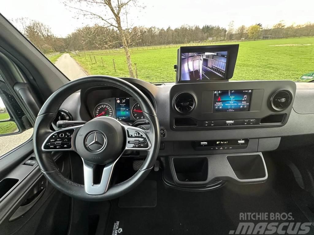 Mercedes-Benz Sprinter AMG 2-paards paardenvrachtwagen B-rijbewi Camion Bétaillère