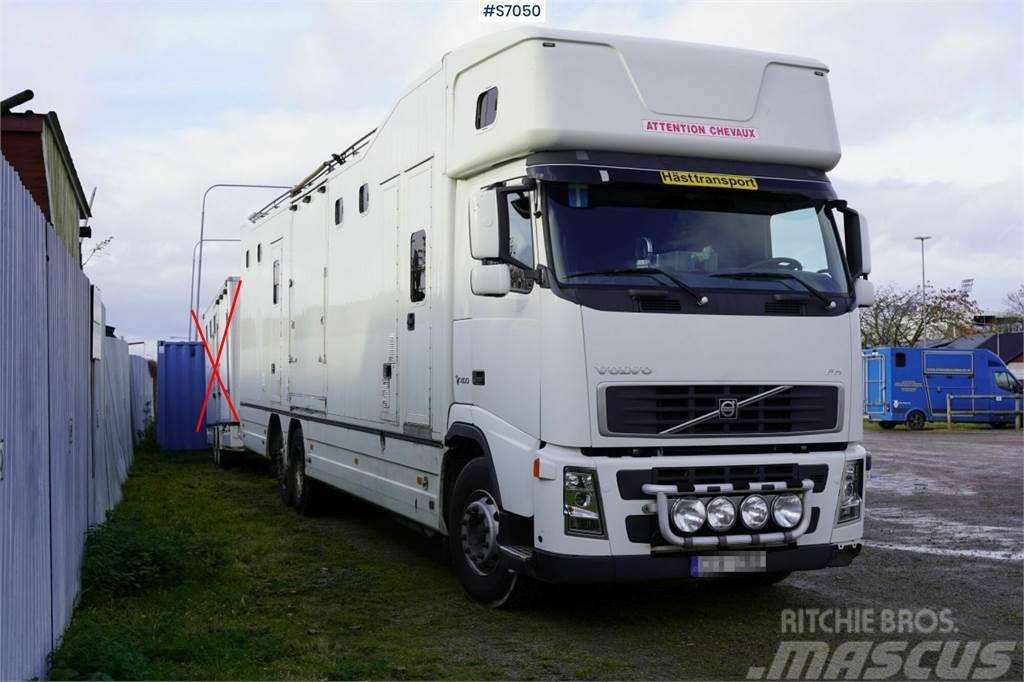 Volvo FH 400 6*2 Horse transport with room for 9 horses Camion Bétaillère