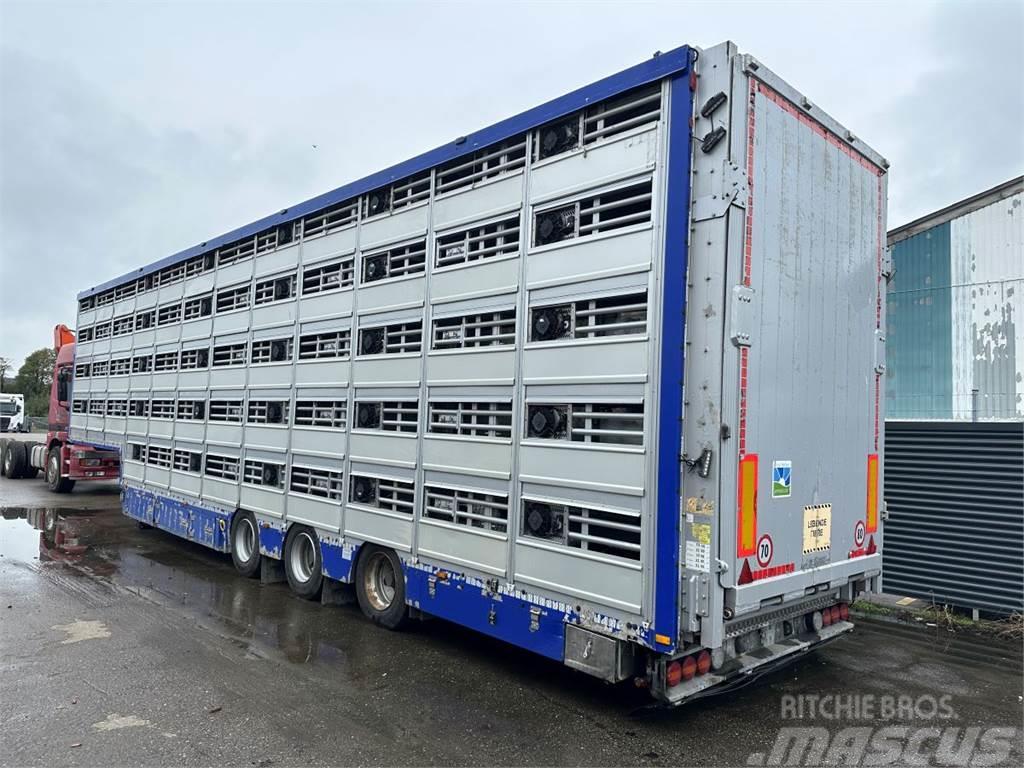 Pezzaioli 5-stock Grise trailer 5-stock Semi remorque bétaillère