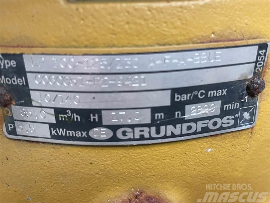 Grundfos type LP 100-125/130 A-F-A-BBUE pumpe Pompe à eau / Motopompe