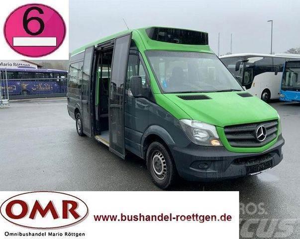 Mercedes-Benz Sprinter 314 Mobility / 316 / 514 / 516 / Rampe Mini-bus