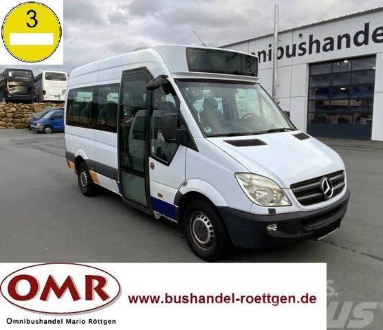 Mercedes-Benz Sprinter Mobility 311 CDI / 315 / 316 / 516 Mini-bus